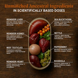 Freyja Reindeer Organ Superfood