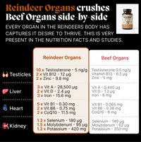 Reindeer Organ Superfood