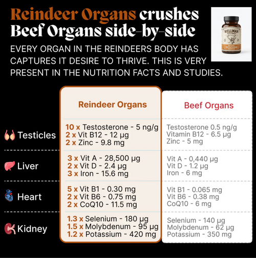 Reindeer organ supplement